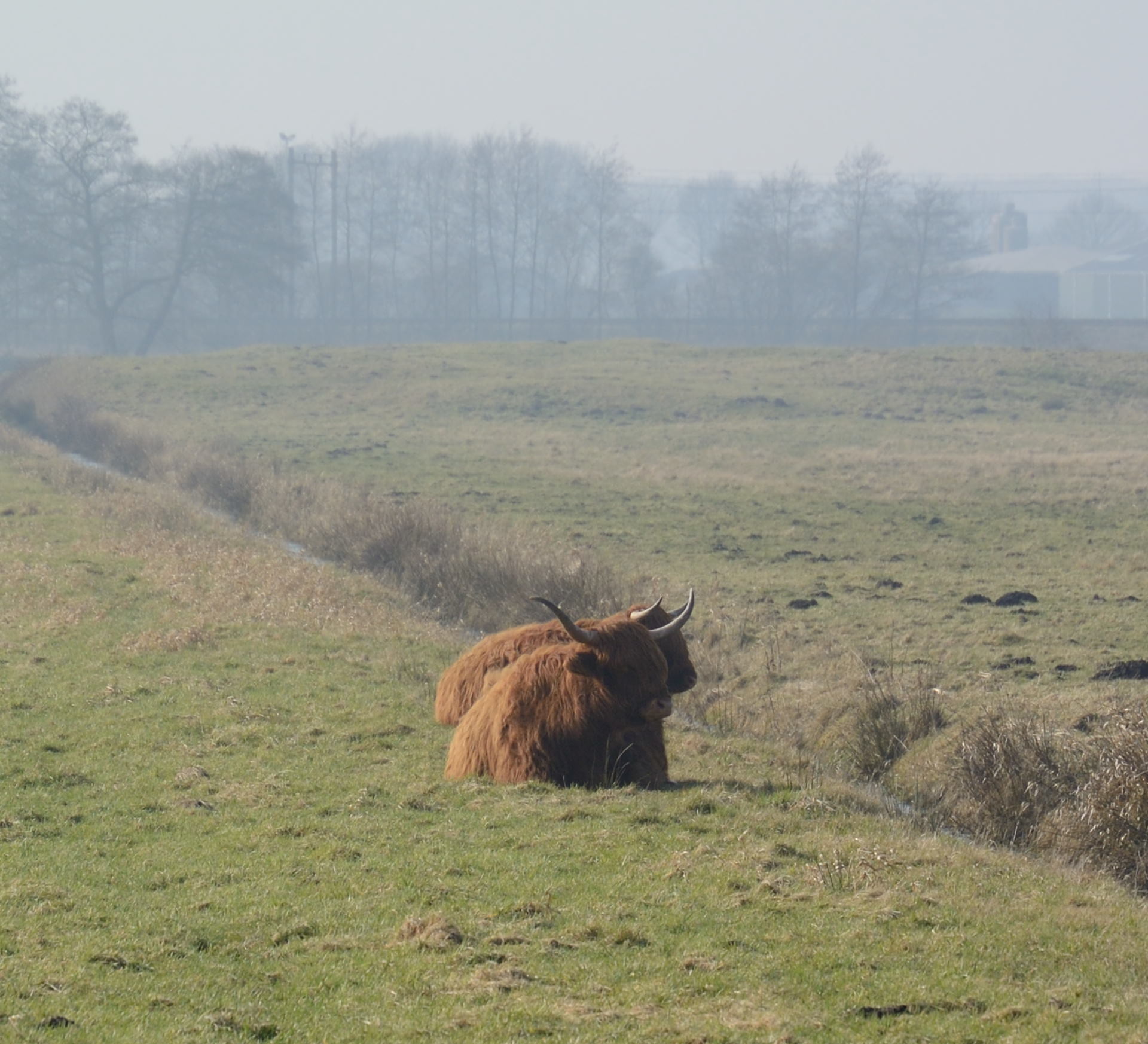 /kraai/foto/2015/2015-02-16 Blankehoeve/DSC_0985_006.jpg